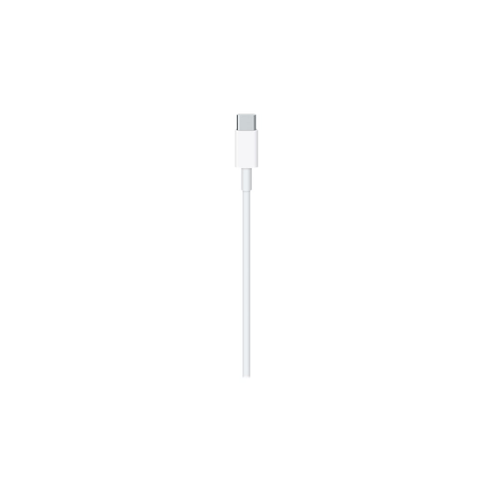 Apple USB-C Laddsladd